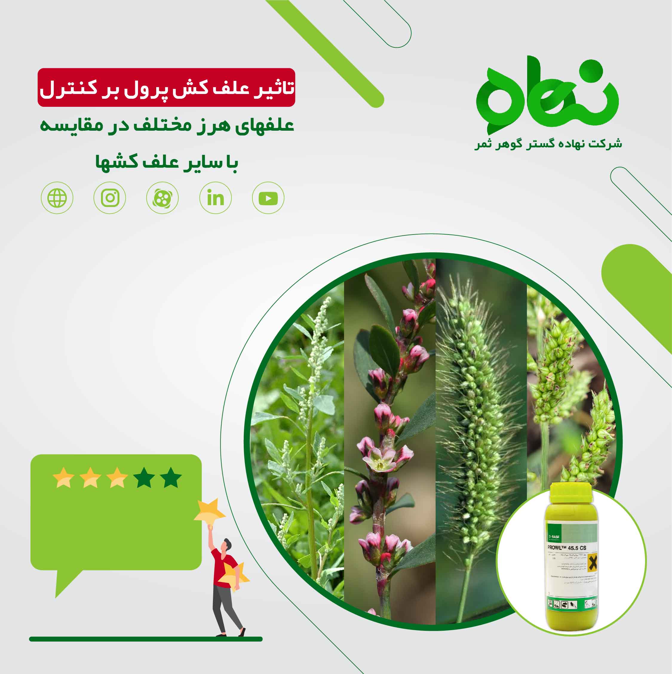 مقایسه علف کش پرول با علف کش های دیگر در کنترل گونه های علفهای هرز